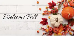 A white pumpkin and some fall leaves on top of a table.