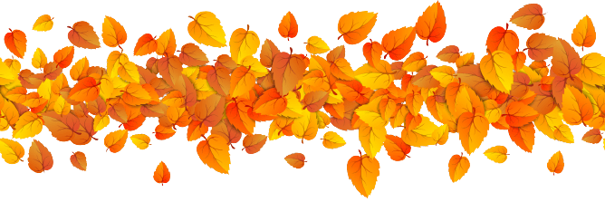 A bunch of leaves that are falling down