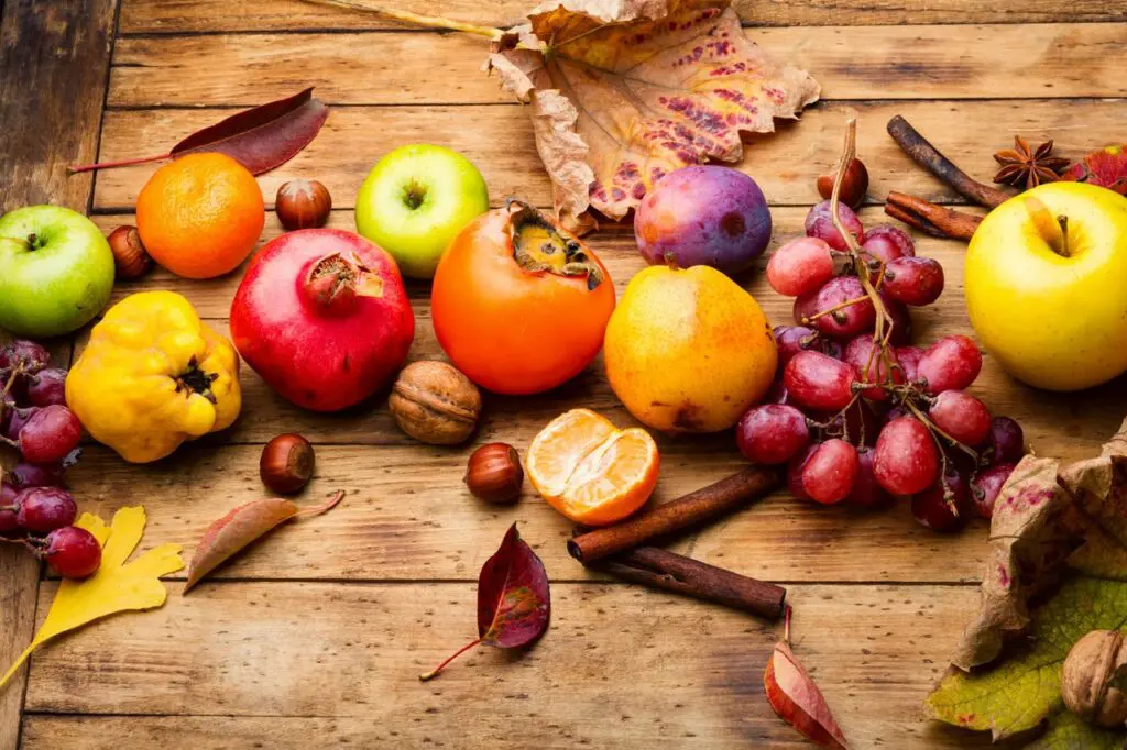 a collection of fall fruits