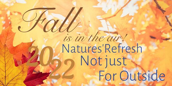 fall themed photo with the text "fall is in the air! Nature's refresh is not just for the outside"