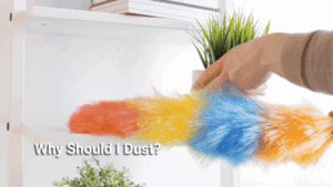 A hand holding a duster with the words " should i dust ?" written on it.