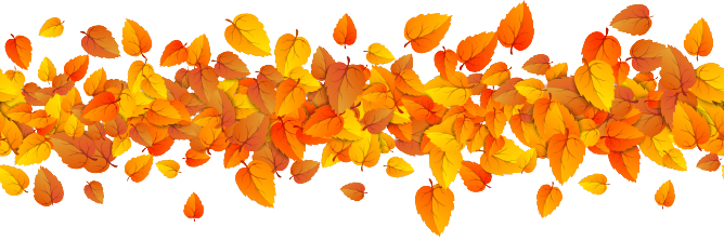A bunch of leaves that are falling down