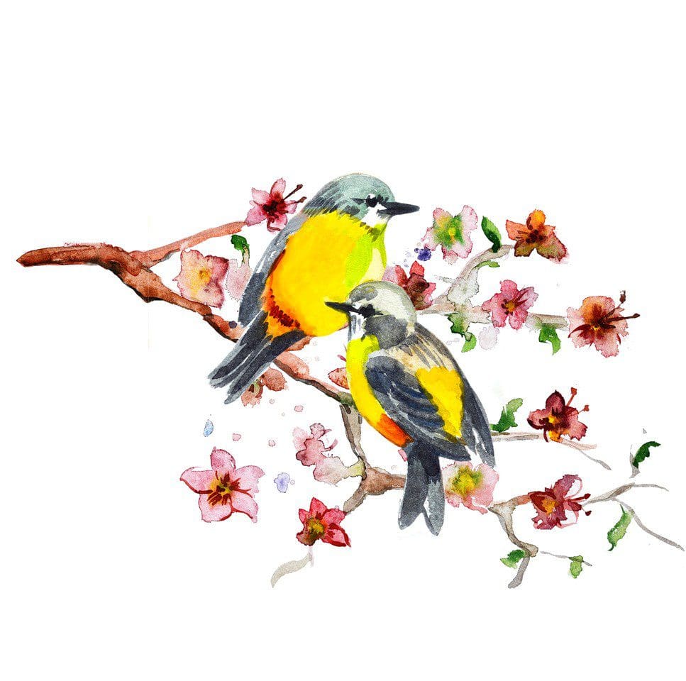 illustration of 2 songbirds on a branch