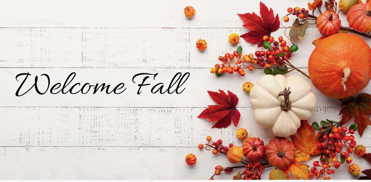 A fall themed image containing various pumpkins and dried berries: "Welcome Fall"